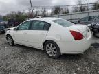 2004 Nissan Maxima Se for Sale in Walton, KY - Front End