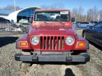 1999 JEEP WRANGLER / TJ SPORT à vendre chez Copart CT - HARTFORD SPRINGFIELD