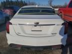 2024 Cadillac Ct5 Luxury for Sale in Leroy, NY - Side