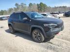 2019 Jeep Cherokee Trailhawk for Sale in Harleyville, SC - Side