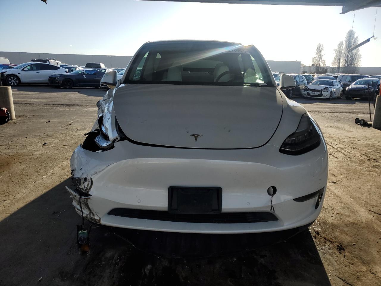 2021 Tesla Model Y - Image 5