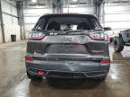 Ham Lake, MN에서 판매 중인 2020 Jeep Cherokee Trailhawk - All Over