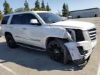 2017 Cadillac Escalade Luxury للبيع في Rancho Cucamonga، CA - Vandalism