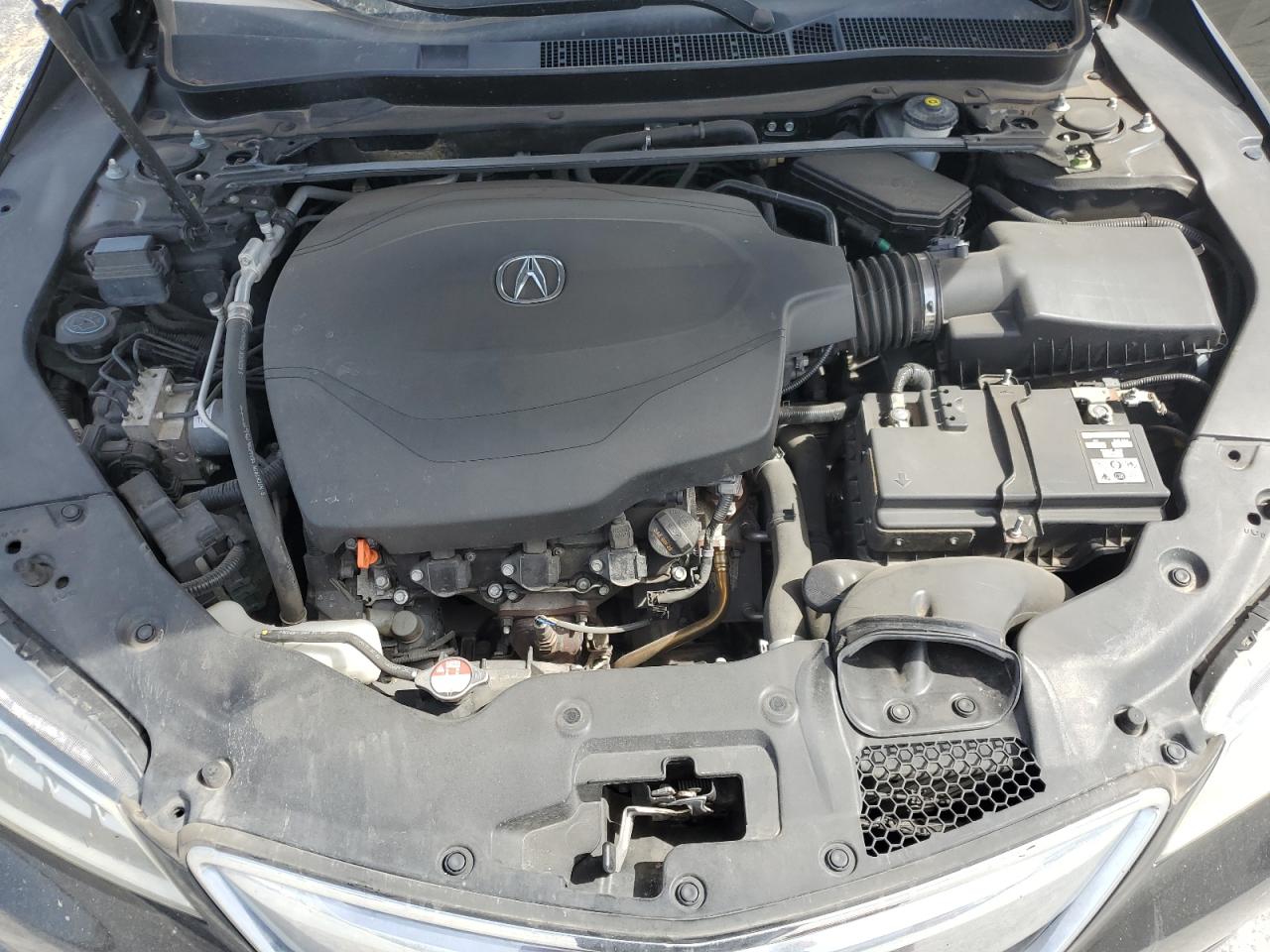 2015 Acura Tlx Tech VIN: 19UUB2F52FA004159 Lot: 49179455