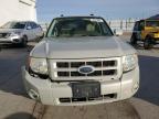 2008 Ford Escape Limited en Venta en Farr West, UT - Front End