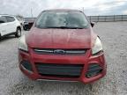2013 Ford Escape Se na sprzedaż w Lawrenceburg, KY - Front End
