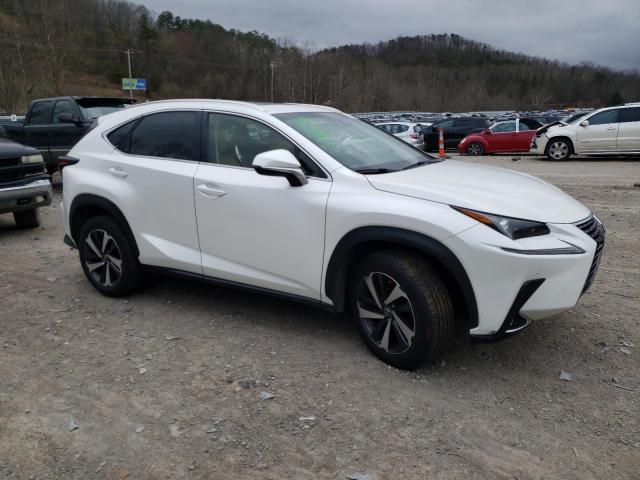  LEXUS NX 2019 Белы