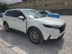 2025 Honda Cr-V Exl zu verkaufen in Opa Locka, FL - Side