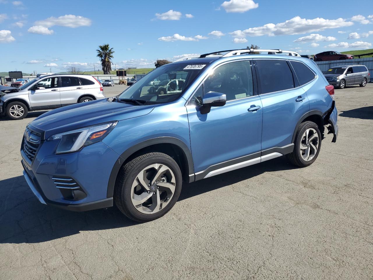 2024 Subaru Forester - Image 1