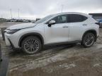 2022 LEXUS NX 350H à vendre chez Copart AB - EDMONTON