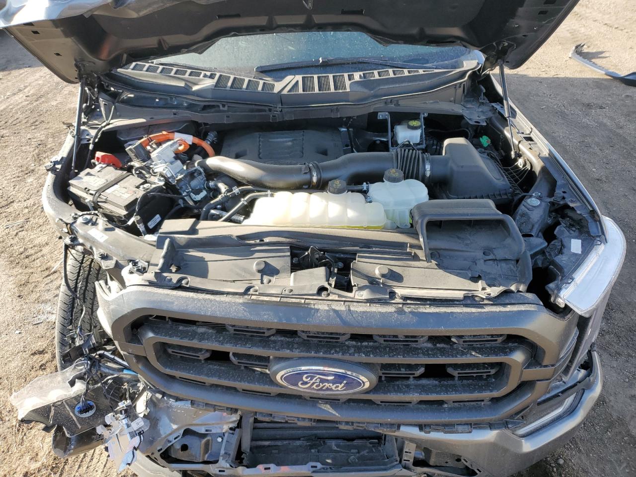 1FTFW1ED5PFD06984 FORD F-150 2023