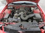 2007 Ford Mustang  for Sale in Rancho Cucamonga, CA - Front End