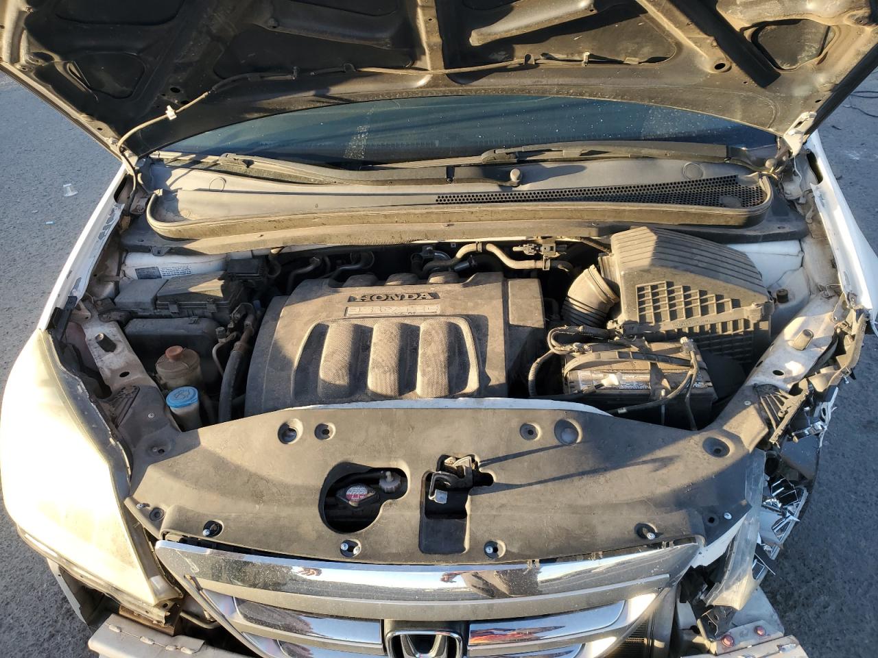 2005 Honda Odyssey Exl VIN: 5FNRL387X5B125243 Lot: 54060195