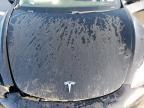 2021 Tesla Model 3  for Sale in Grand Prairie, TX - All Over