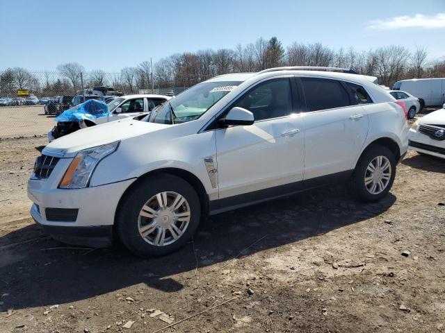 Паркетники CADILLAC SRX 2012 Белый