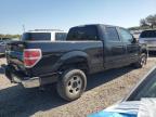 2014 FORD F150 SUPERCREW for sale at Copart FL - TAMPA SOUTH