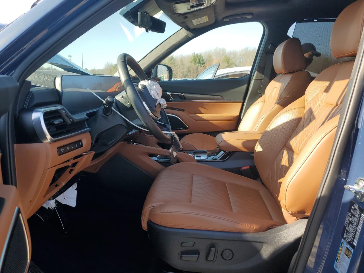 2024 Kia Telluride Sx VIN: 5XYP5DGC2RG563677 Lot: 48695545