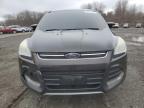 2013 Ford Escape Sel იყიდება East Granby-ში, CT - Minor Dent/Scratches