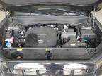 2025 Hyundai Palisade Sel Premium na sprzedaż w Lexington, KY - Hail