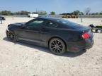 2016 Ford Mustang  for Sale in New Braunfels, TX - All Over