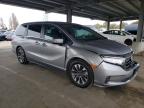 Hayward, CA에서 판매 중인 2022 Honda Odyssey Exl - Front End