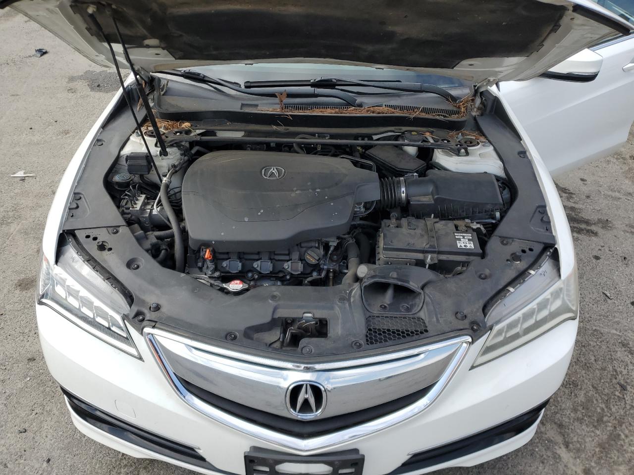 2015 Acura TLX - Image 11