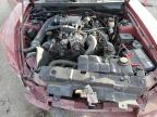 2004 Ford Mustang Gt للبيع في Las Vegas، NV - Front End