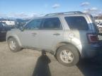 2011 Ford Escape Xlt იყიდება Arlington-ში, WA - Minor Dent/Scratches