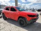 Wayland, MI에서 판매 중인 2019 Jeep Cherokee Trailhawk - Side