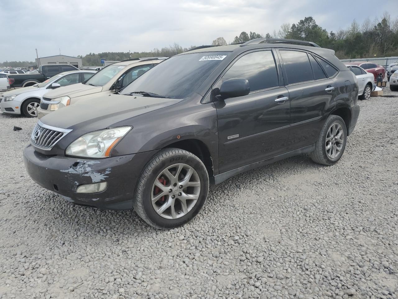 2009 Lexus Rx 350 zu verkaufen in Memphis, TN - Front End