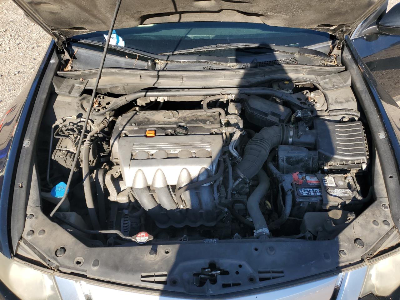 2009 Acura Tsx VIN: JH4CU266X9C007119 Lot: 49911825