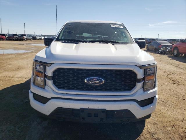  FORD F-150 2023 Белы