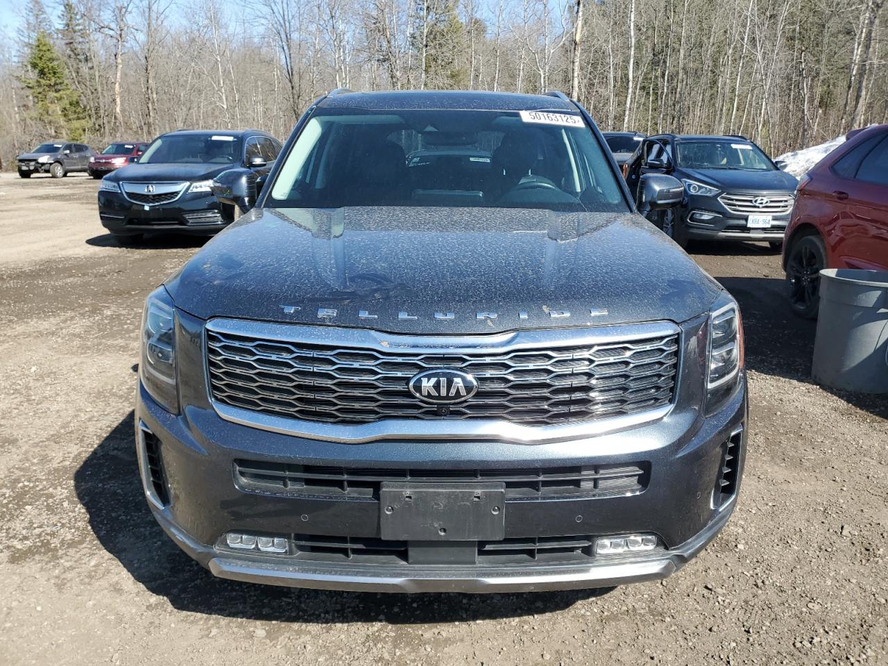 2021 Kia Telluride Sx VIN: 5XYP5DHC2MG145658 Lot: 50163125