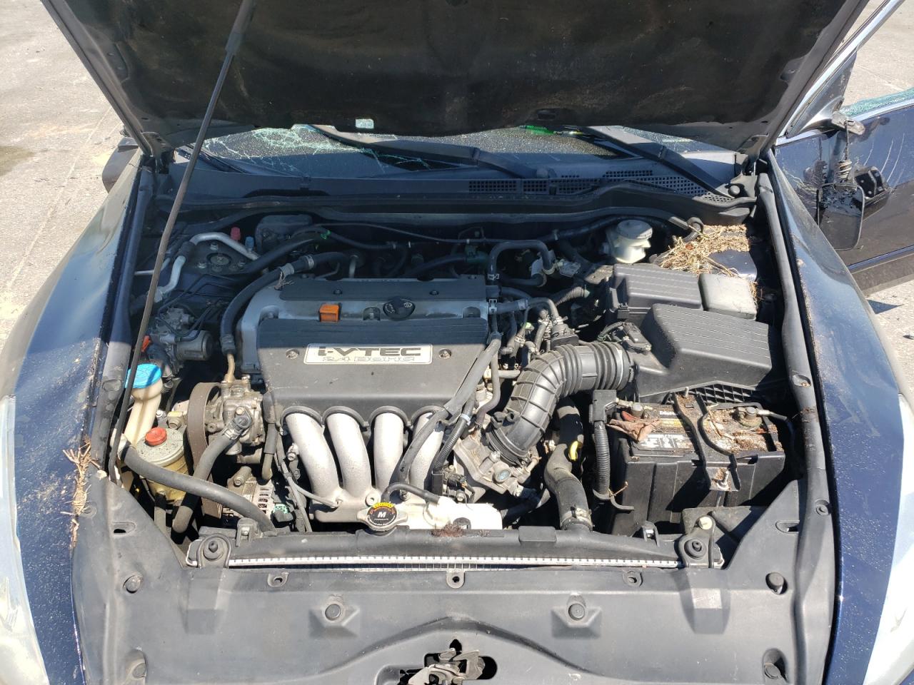 2006 Honda Accord Ex VIN: 1HGCM56816A094891 Lot: 50891815