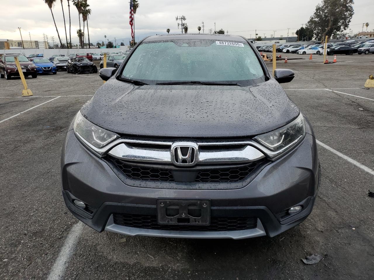 2019 Honda CR-V - Image 5