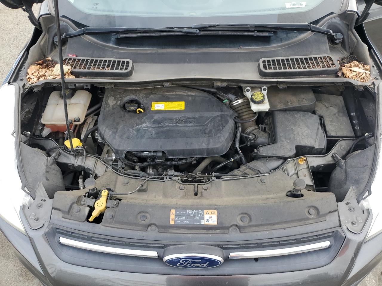 2016 Ford Escape Se VIN: 1FMCU0GX7GUB35141 Lot: 49455485