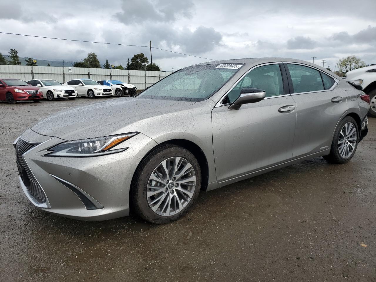 2019 Lexus ES - Image 1
