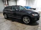 2017 Audi Q5 Premium Plus продається в Brookhaven, NY - Minor Dent/Scratches
