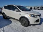 2014 FORD ESCAPE TITANIUM for sale at Copart AB - EDMONTON
