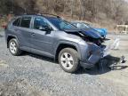 2020 Toyota Rav4 Xle للبيع في Marlboro، NY - Front End
