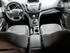 2013 Ford Escape Se for Sale in Louisville, KY - Front End