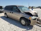 2003 Honda Odyssey Lx for Sale in Taylor, TX - Front End