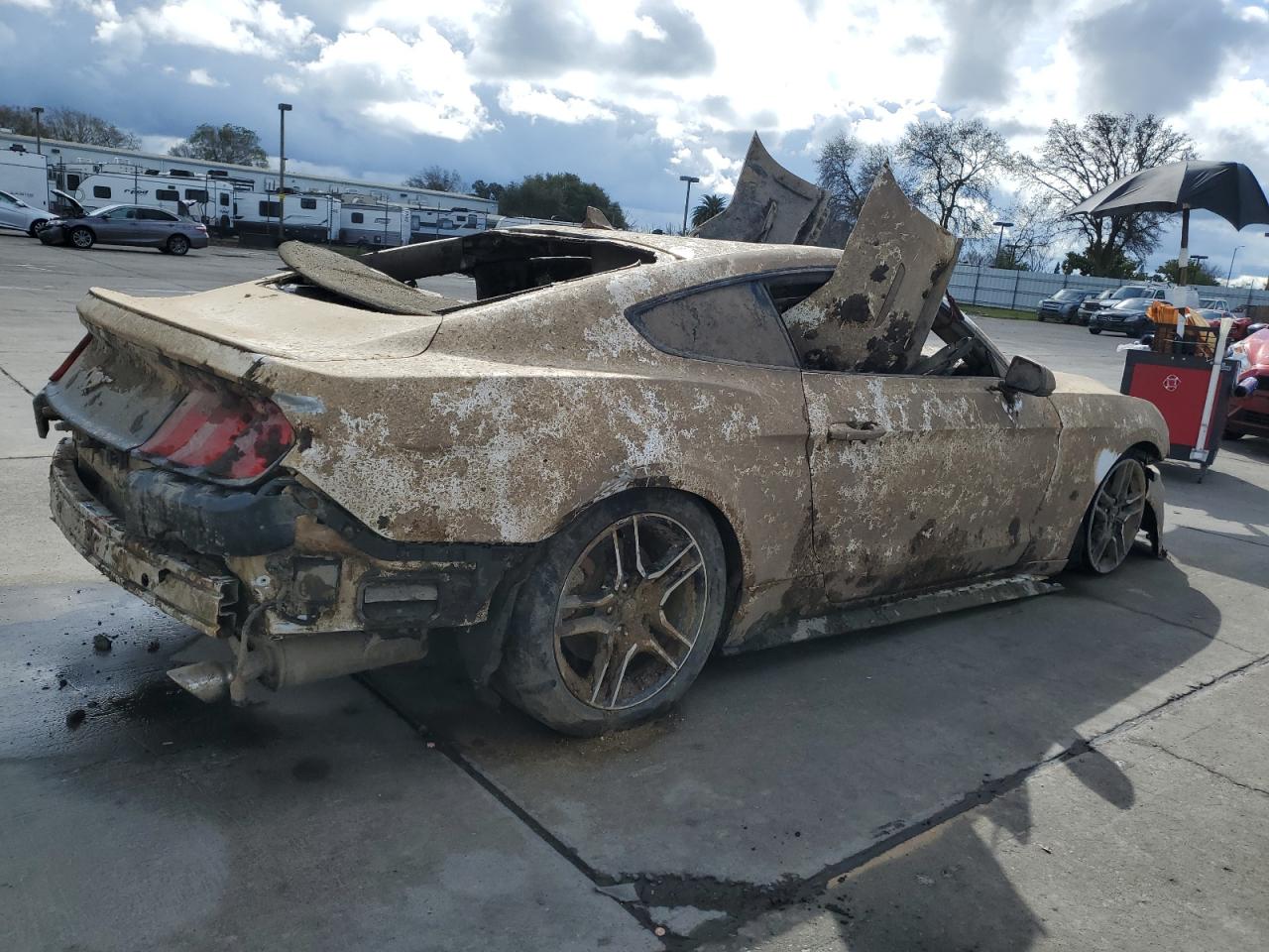 1FA6P8TH6M5105940 FORD ALL Models 2021