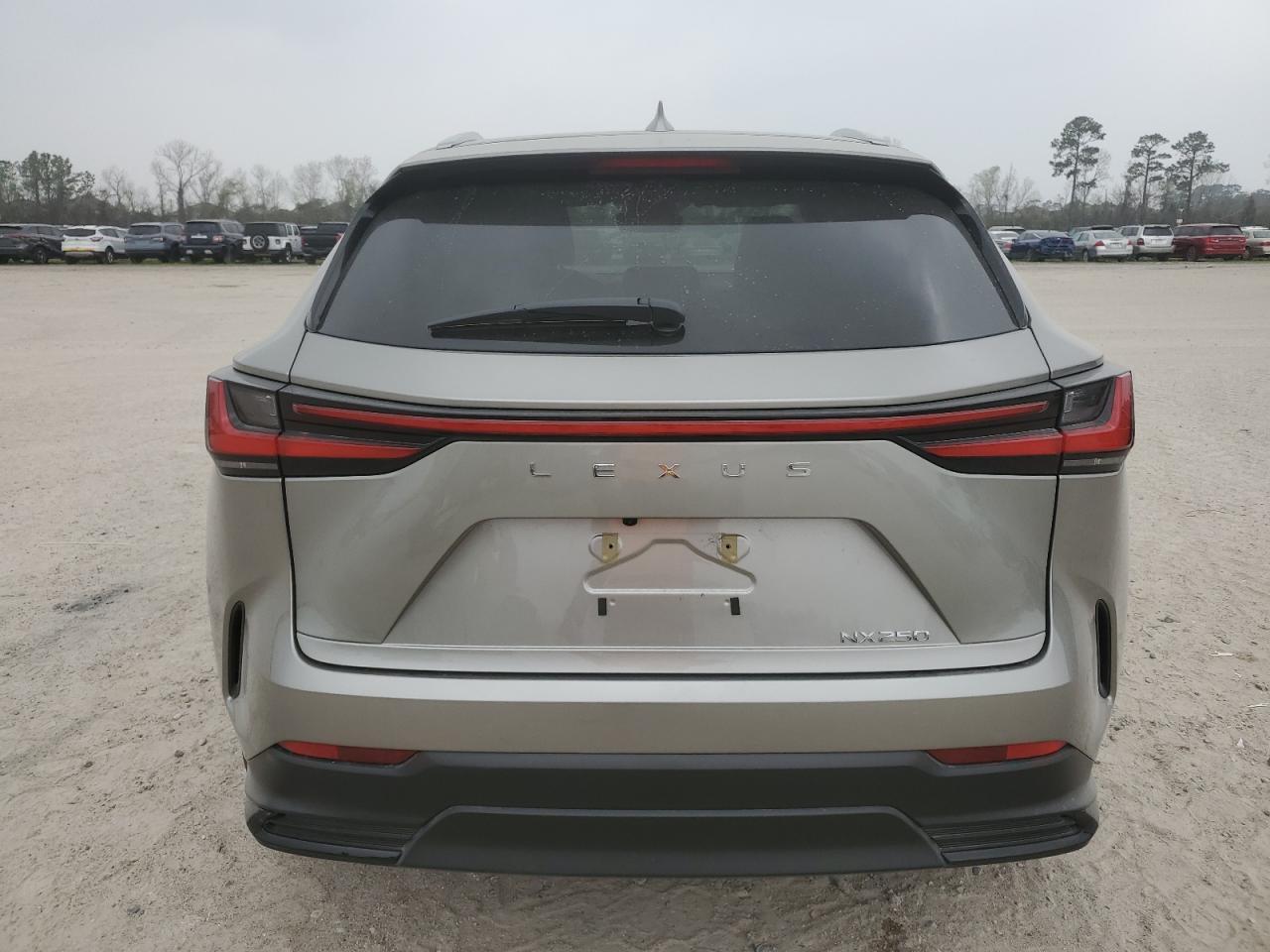 2022 Lexus NX - Image 6