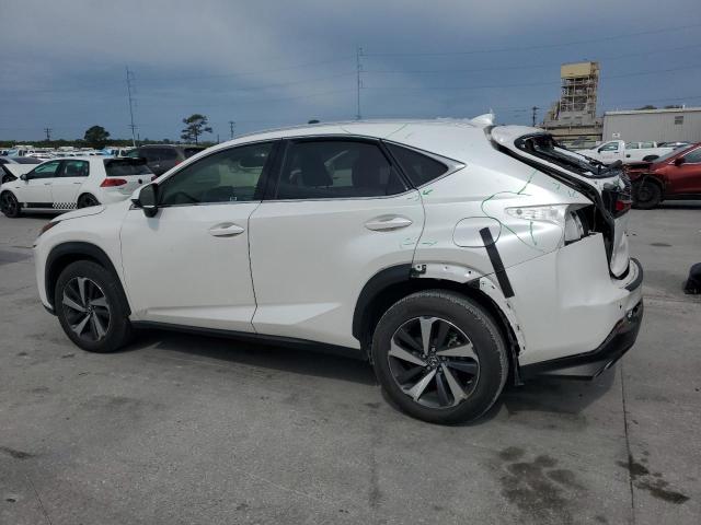  LEXUS NX 2019 Білий