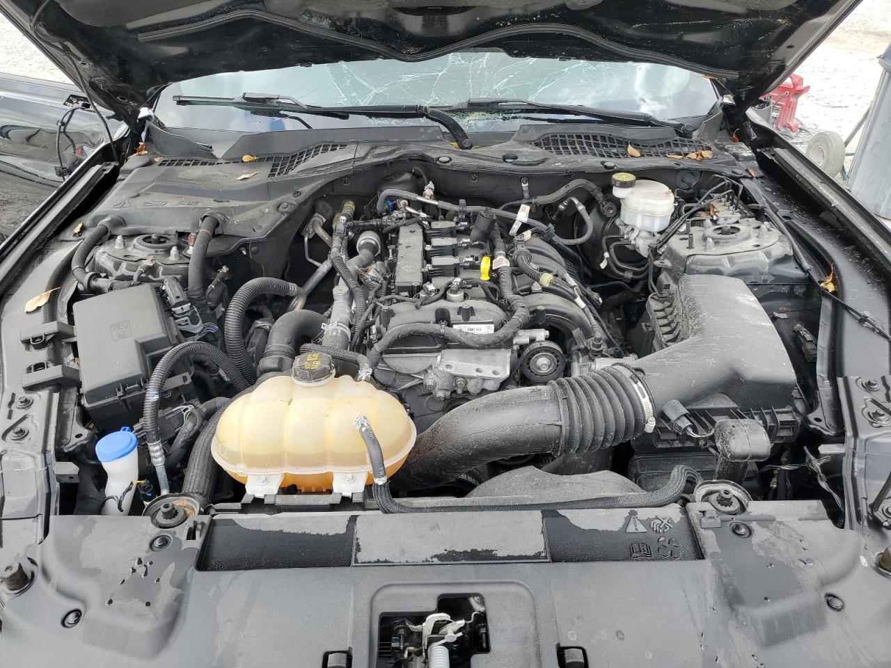 1FA6P8TH4M5151881 FORD ALL Models 2021