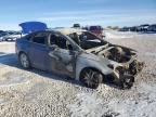 2013 Ford Fusion Se продається в Casper, WY - Burn
