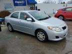 2009 Toyota Corolla Base de vânzare în Louisville, KY - Hail
