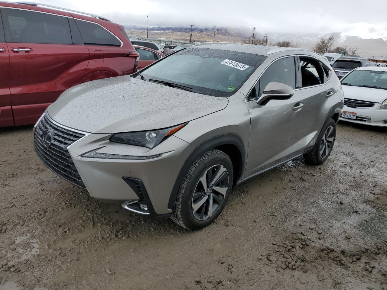 2021 Lexus NX - Image 1