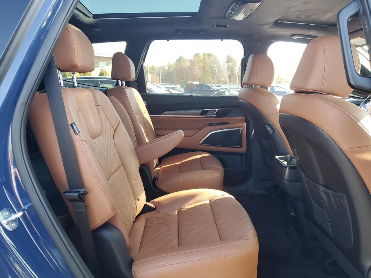 2024 Kia Telluride Sx VIN: 5XYP5DGC2RG563677 Lot: 48695545